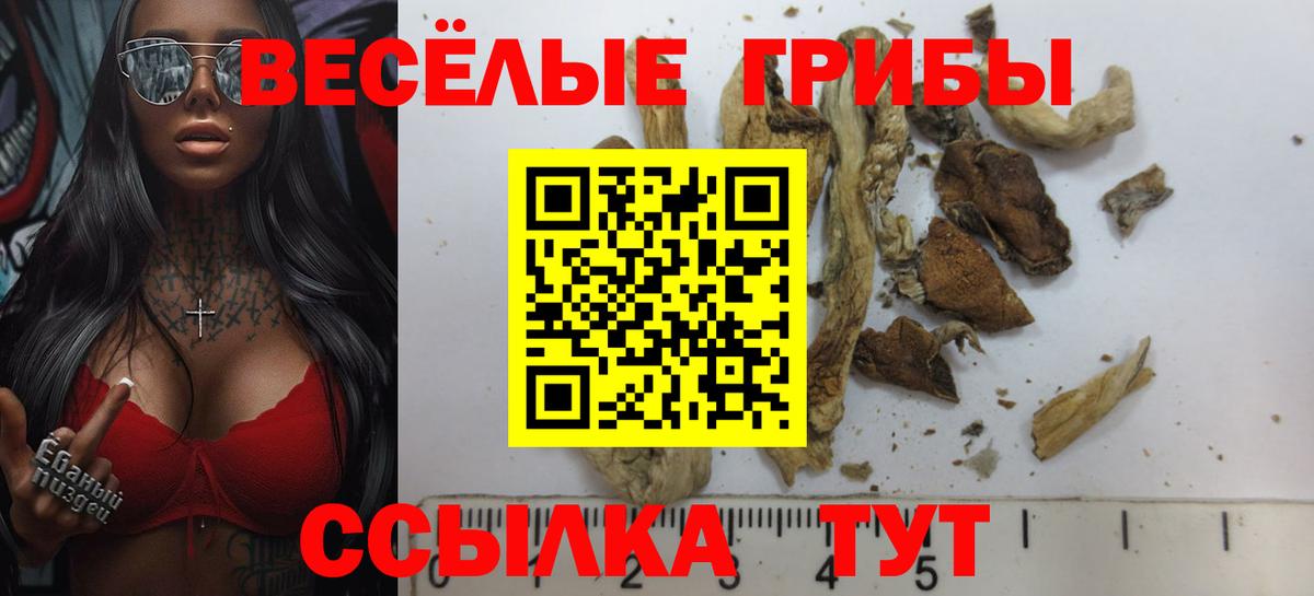 Кунгур  магазин    Вход с VPN  Псилоцибиновые грибы Psilocybe  Галлюциногенные грибы Cubensis 